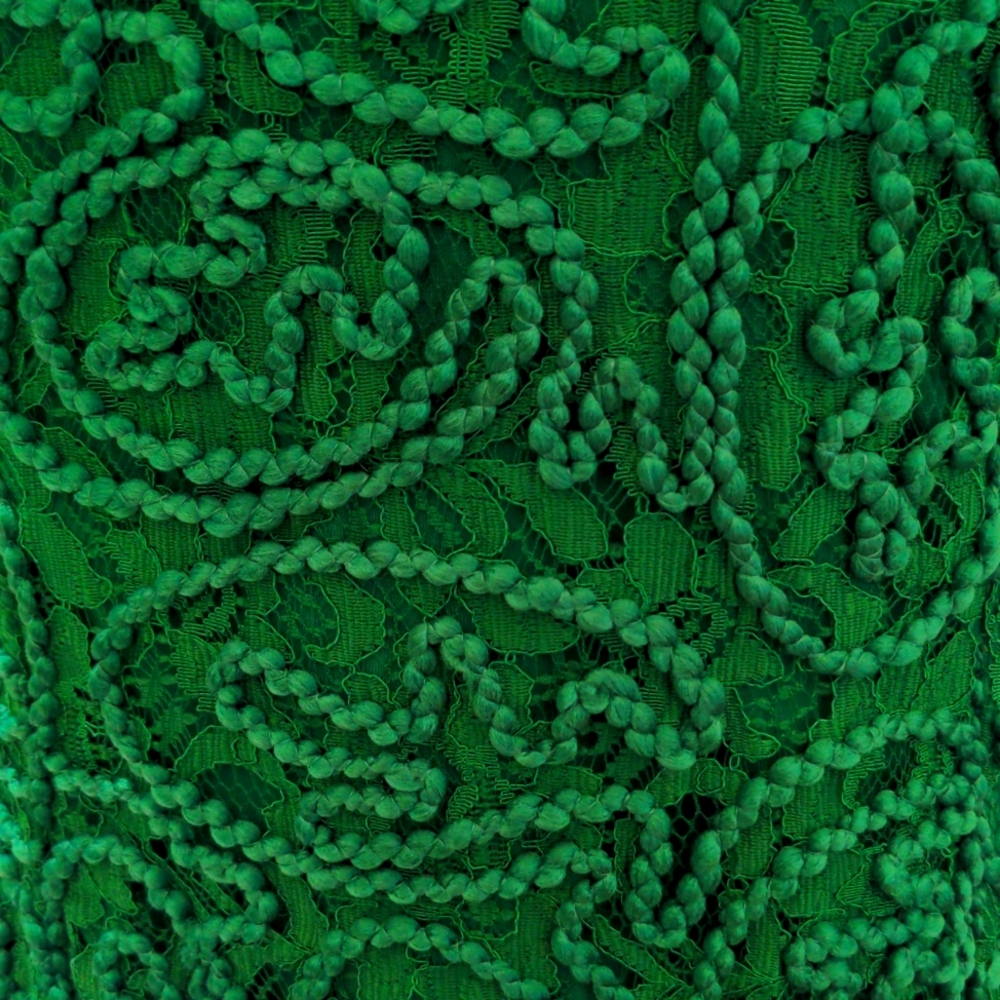 WHBM Lace Shell - Picture 9 of 10